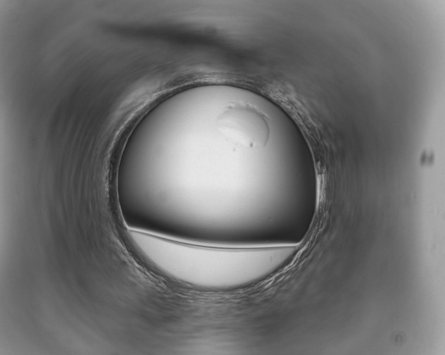 X0000091930243200709051247