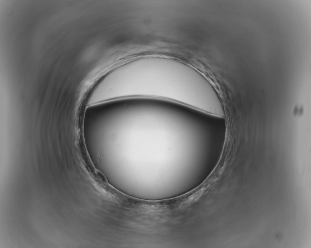 X0000091930245200709051247