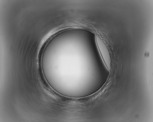 X0000091930246200709051247