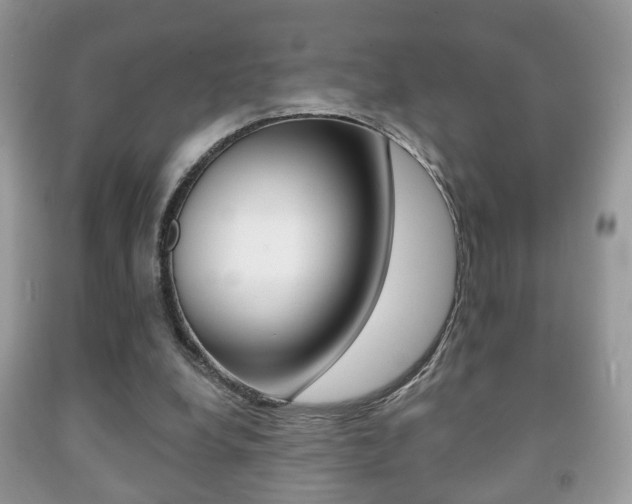 X0000091930248200709051247