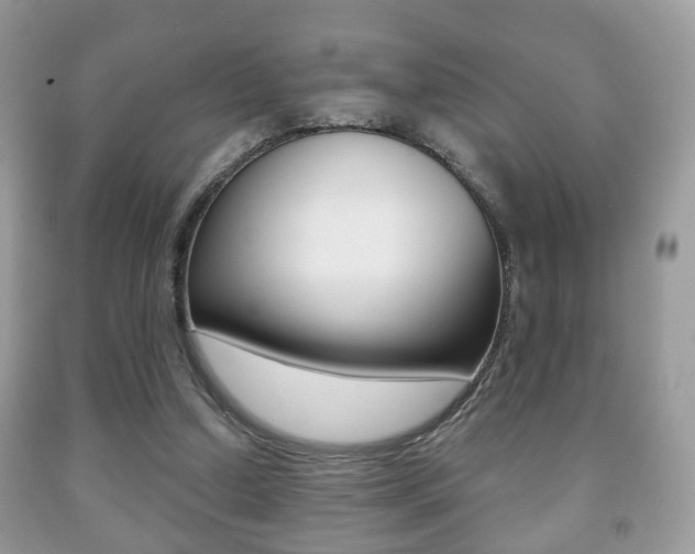 X0000091930250200709051247