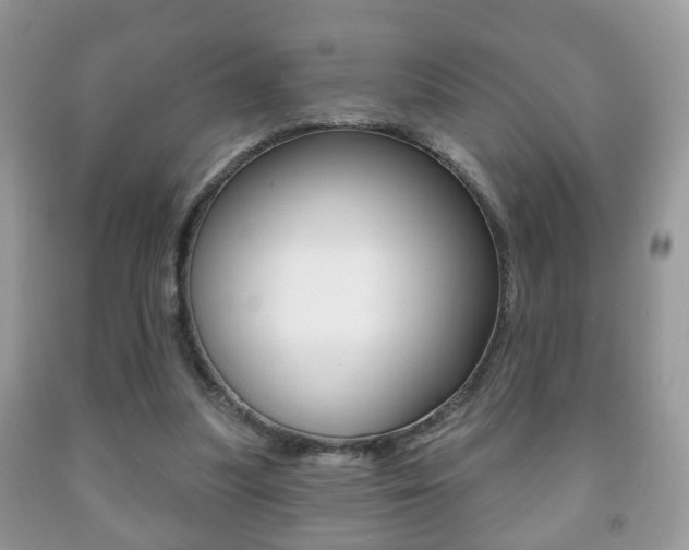 X0000091930251200709051247