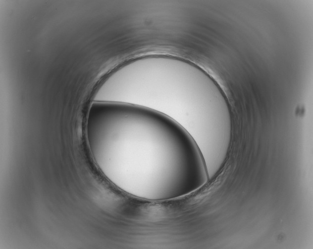 X0000091930253200709051247