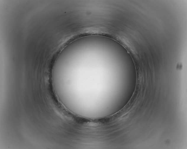 X0000091930255200709051247