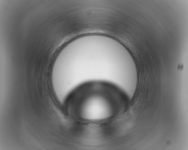 X0000091930256200709051247