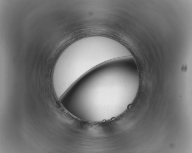 X0000091930258200709051247