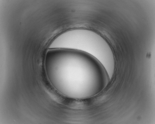X0000091930260200709051247