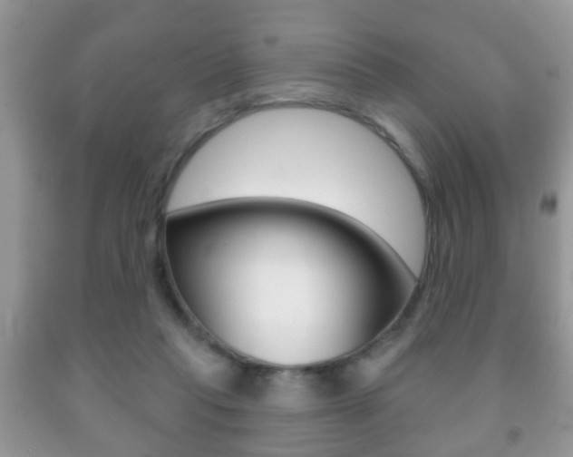 X0000091930261200709051247