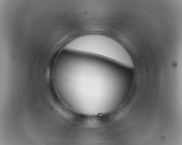 X0000091930262200709051247