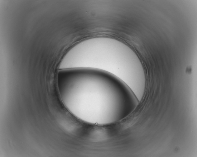 X0000091930263200709051247