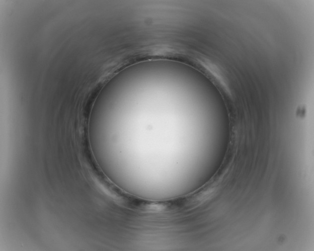 X0000091930265200709051247
