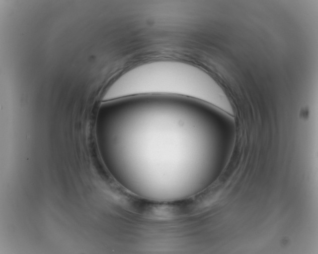 X0000091930268200709051247