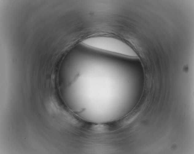 X0000091930269200709051247