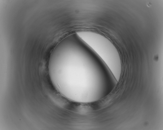 X0000091930270200709051247