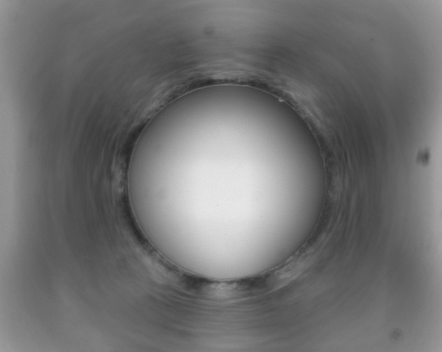 X0000091930273200709051247