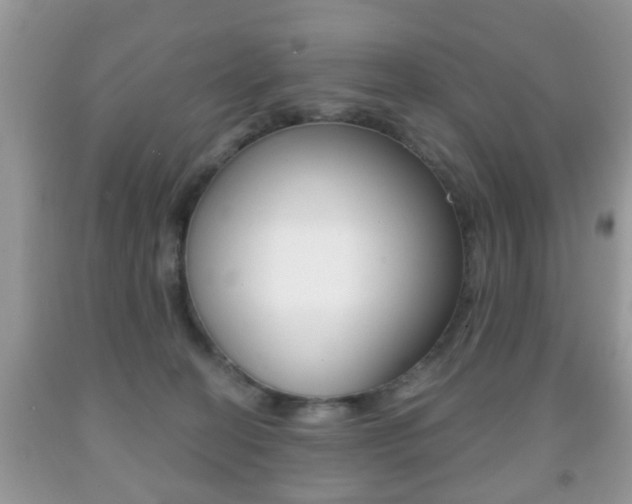X0000091930274200709051247