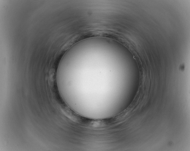 X0000091930275200709051247