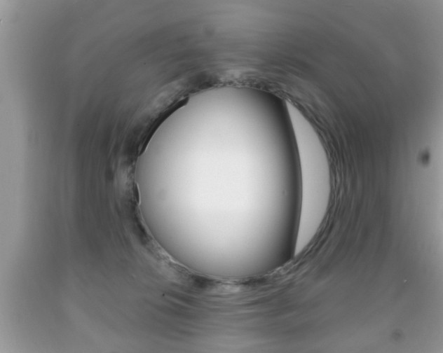 X0000091930276200709051247