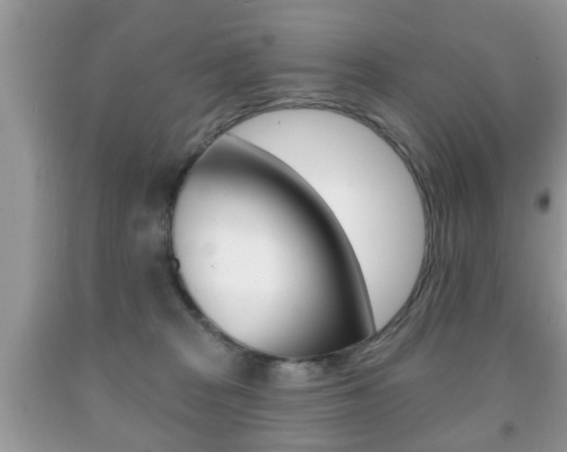 X0000091930277200709051247