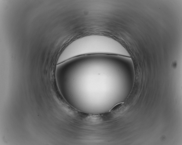 X0000091930280200709051247