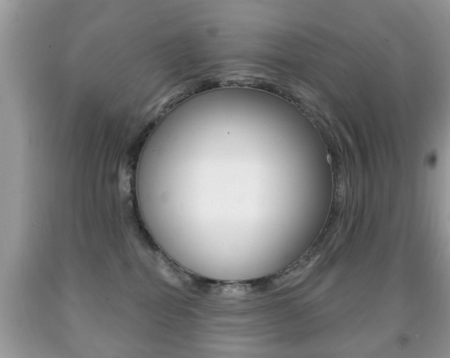 X0000091930282200709051247