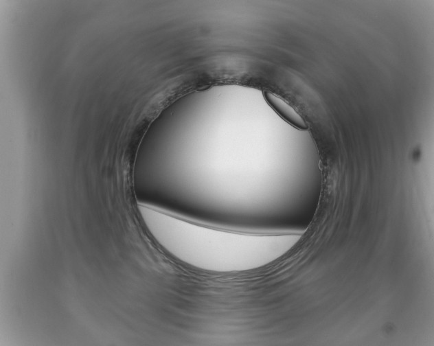 X0000091930283200709051247