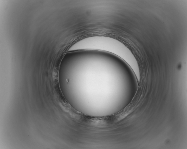 X0000091930284200709051247