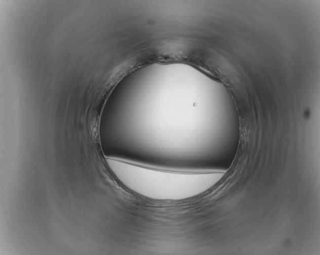 X0000091930285200709051247