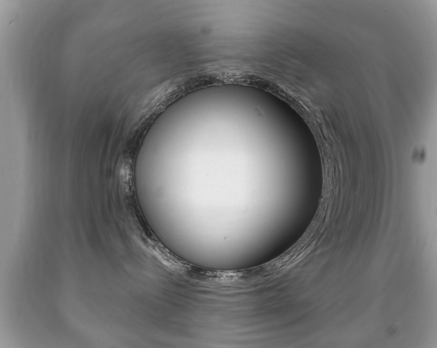 X0000091930288200709051247