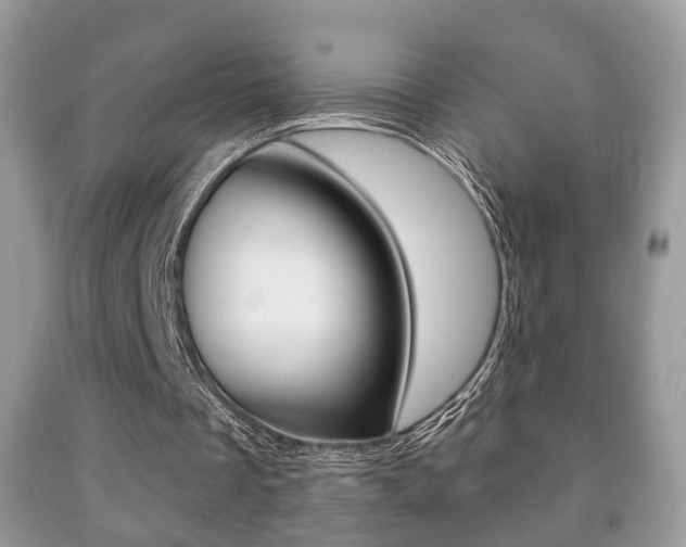 X0000091930289200709051247