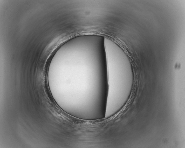 X0000091930290200709051247