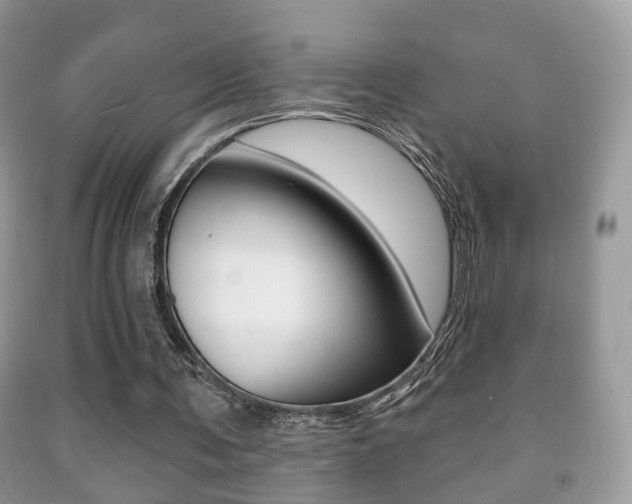 X0000091930291200709051247