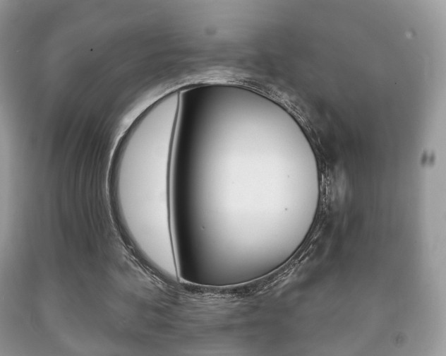 X0000091930292200709051247