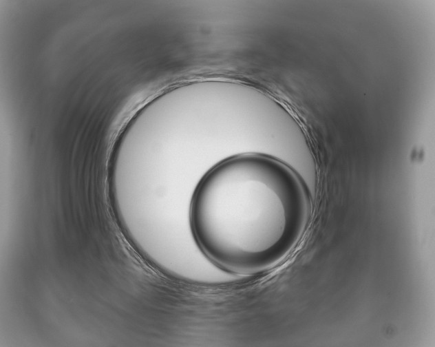 X0000091930293200709051247