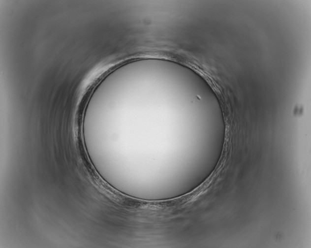 X0000091930294200709051247