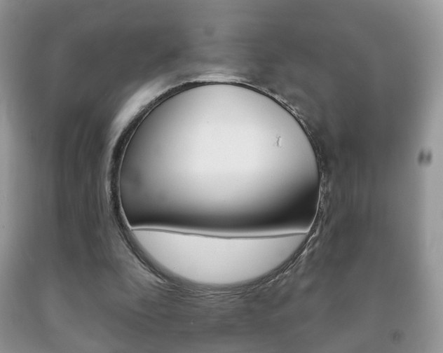 X0000091930296200709051247