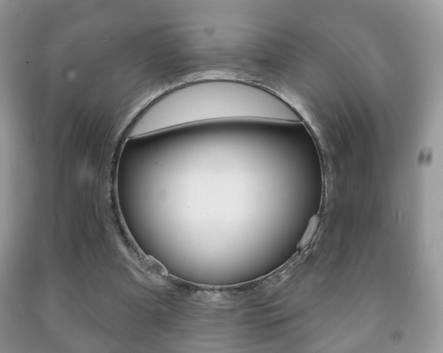 X0000091930297200709051247