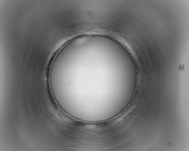 X0000091930298200709051247