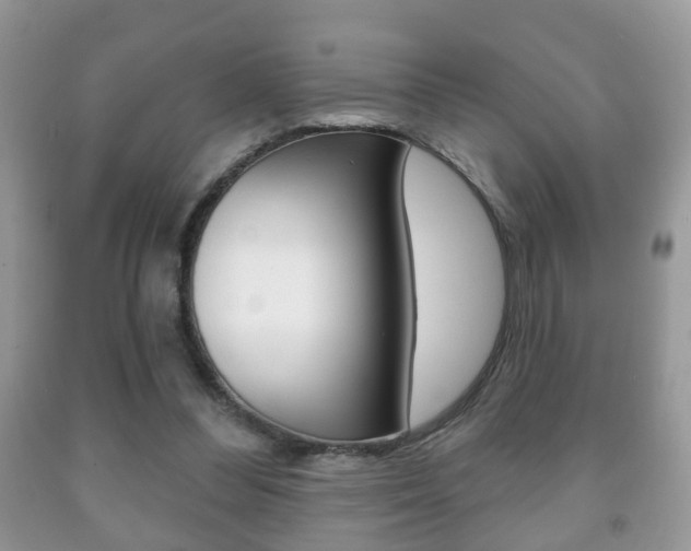 X0000091930300200709051247