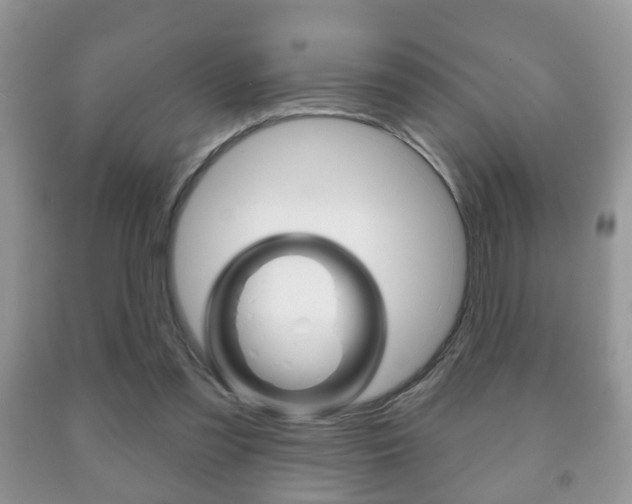 X0000091930301200709051247