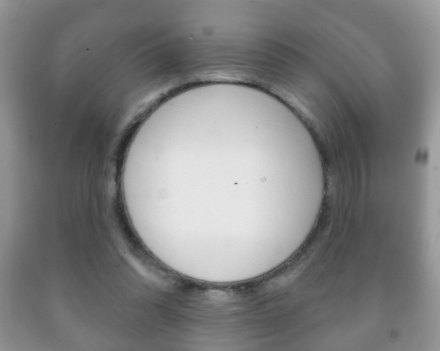 X0000091930302200709051247