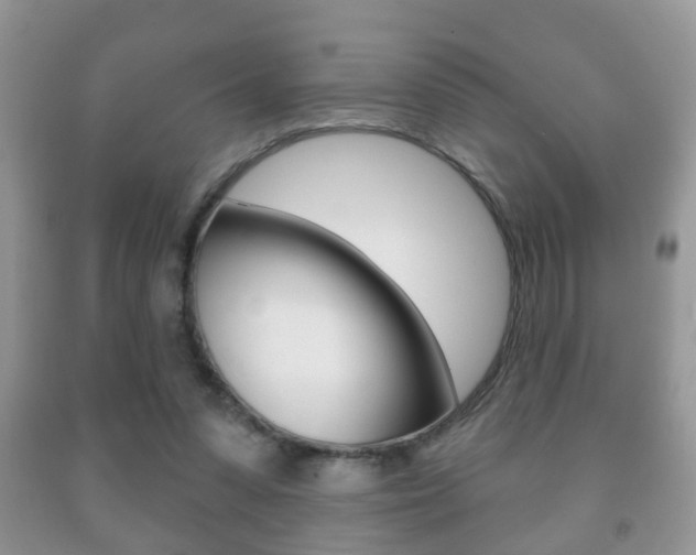 X0000091930303200709051247
