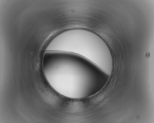 X0000091930304200709051247