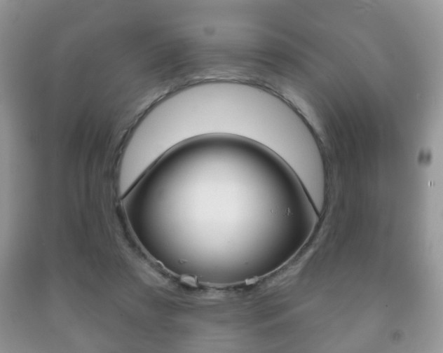 X0000091930305200709051247