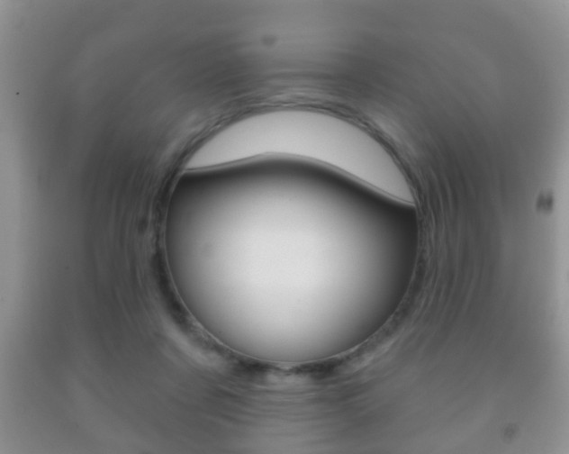 X0000091930311200709051246