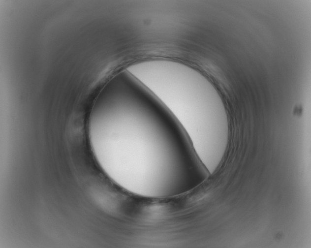 X0000091930312200709051246