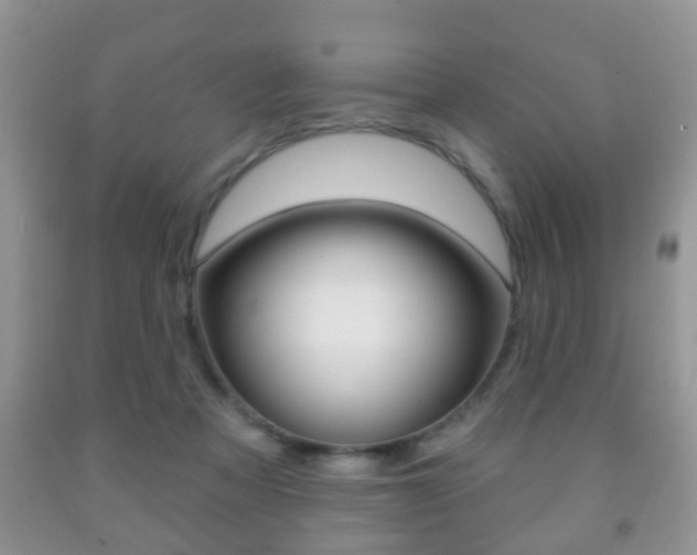 X0000091930313200709051246