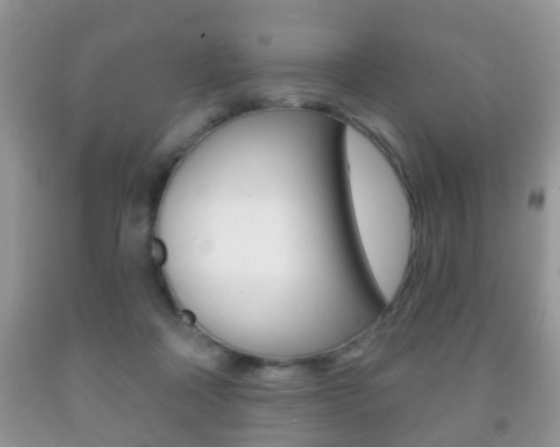 X0000091930314200709051246
