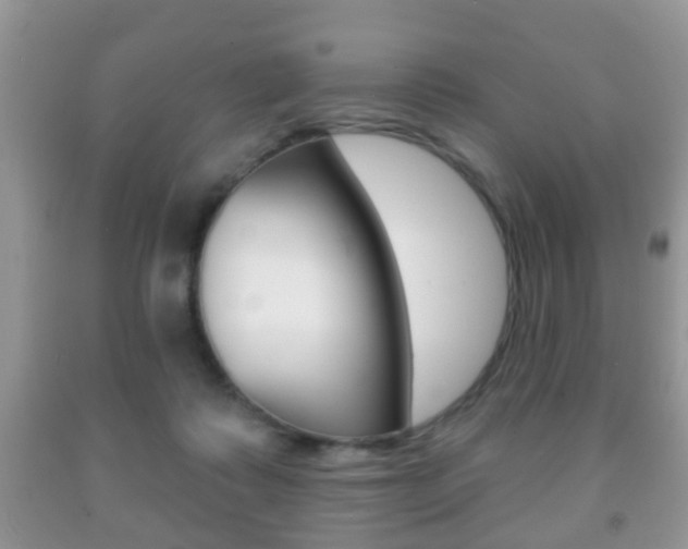X0000091930315200709051246