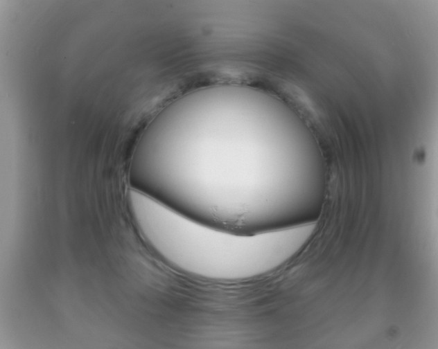X0000091930318200709051246